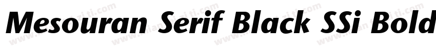 Mesouran Serif Black SSi Bold Italic字体转换